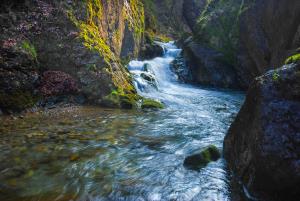 Potok Bistra -avtor fotografije Boris Keber